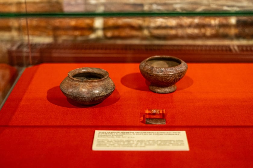 Wystawa Artificalia, naturalia, exotica w Muzeum Archeologicznym we Wrocławiu